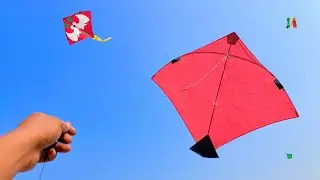 Kite Looting In Fast Wind 😱🪁 | Kite Catching On Roof | Kite