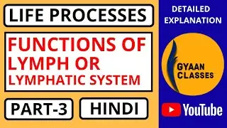 Life Processes l Functions of Lymph or Lymphatic System l Part-3 l Hindi l Gyaan Classes