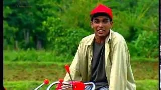 Hayleys Agro tech Commercial  2003