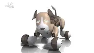 bentley zoomer
