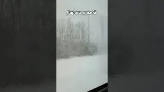 Зимние каникулы❄️ #природныепейзажи #travel #video #путешествиепороссии #дороги