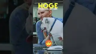 HOGE.  Its Doge but Defi