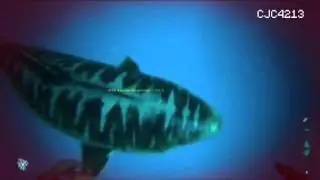 My First Shark Encounter - ARK SURVIVAL EVOLVED