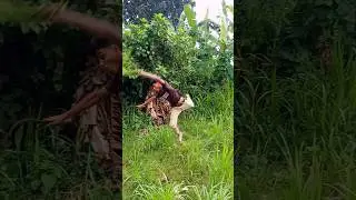 Viral Bushman Prank Video #bushmanprank #prankvideo #comedyprank #viralprankvideo