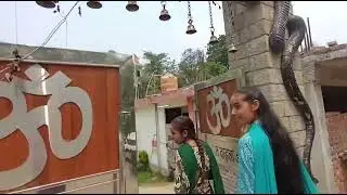 aadishiv gye thee #new #video #trending #youtube #yt #virel #jaimahakal #travelvlog #longvlogs