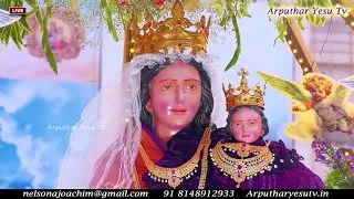 🔴🅻🅸🆅🅴 2025 Grand Car Procession & Feast Mass of Sagaya Madha Shrine, Broadway 24th May 2025