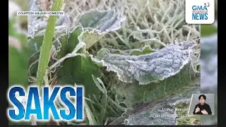 Record-low na lamig ngayong Amihan season, naitala sa Metro Manila at Baguio | Saksi