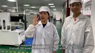 Smart Light & LED Strip SMT workshop - Factory Tour