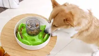 SPIN UFO Maze Green dog feeder