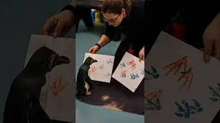This Penguin Can Paint 🐧