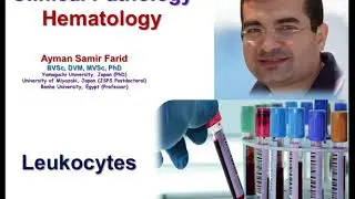 Leukocyte Lecture Part 1