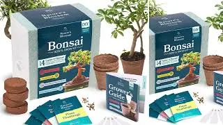 Best Gardening Gifts for Mom Reviews Nature's Blossom Bonsai Garden Seed Starter Kit