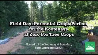 Perennial Crops Perfect for the Kootenays at Zero Fox Tree Crops | PART 2