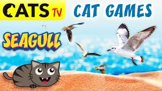 CAT TV - 3D Seagull birds 🌊 Game for cats 😻🔊
