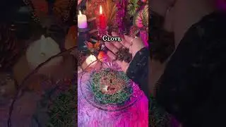 How to make Money Rice 💰💸✨ #witchcraft #moneyrice #spellwork