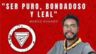 Semana de la pa&ntilde;oleta 