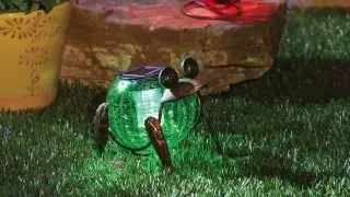 Outdoor Solar Lighted Garden Decor from Evergreen