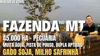 MEGA FAZENDA PECUÁRIA NO MATO GROSSO 45.000 HA DUPLA APTIDÃO ESTRUTURA MUITA ÁGUA - MercadodeAtivos