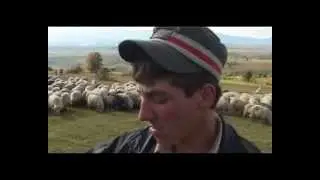 Juhtart&aacute;s