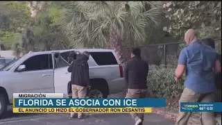 El gobernador anuncia la Asociaci&oacute;n de Florida con ICE para enfrentar la inmigraci&oacute;n ilegal