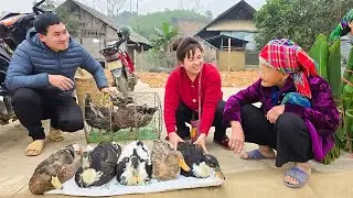 From a successful CEO, Ngoc returned to selling ducks at the market with Ly Tu Nga