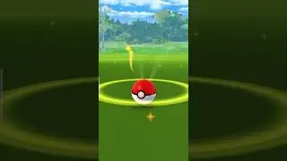 timburr community day omg caught a super rare nundo timburr #viral #pokemon