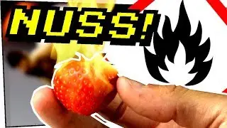 Wie gut brennt eine Nuss? Erdbeeren sind Nüsse! - Gefährliche Experimente #133