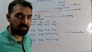 Heredity Part4 (Dihybrid cross Mendalian genetics) English Class10 Science CBSE