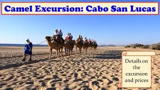 Camel and Mexican Outback Adventure Excursion in Cabo San Lucas is Bucket List Worthy!
