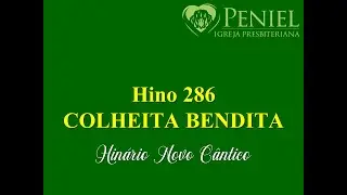 Hinário Novo Cântico, Hino 286   