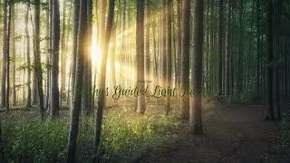 1.25.2026 READINGS  QUESTIONS $5 - 5 CARD PLUS; FREE READINGS 3 CARDS