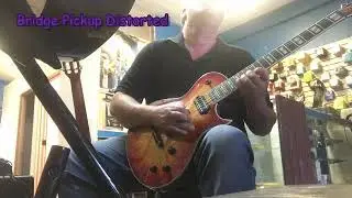 Ted Kraut Demos Washburn Parallaxe L260 Recorded on Iphone Camera