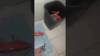Throwing dirty trashed high heels in the bin