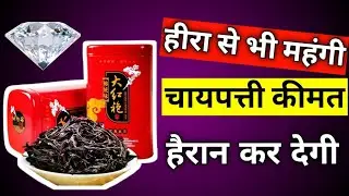 😱 हीरा से भी महंगी चायपत्ती कीमत हैरान कर देगी | #shorts #thefacthunt #trending #shortsvideo