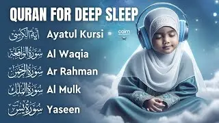 Calming Quran Recitation | Fatiha, Ayatul Al Kursi, Rahman, Mulk, Yasin, Waqiah