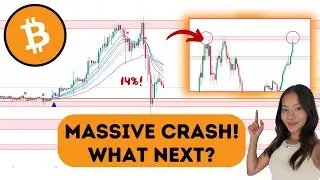 (BTC): Massive Bitcoin Crash! What you NEED to Know.