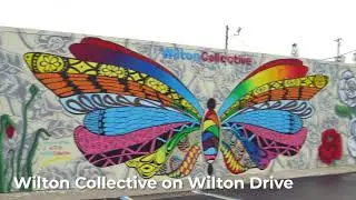 Wilton Collective | Official Wilton Drive