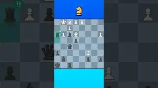 Beauty of excellent moves (Ljepota izvrsnih poteza)