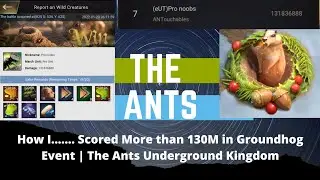 How to....... Score More than 130M points in Groundhog Event | The Ants Underground Kingdom