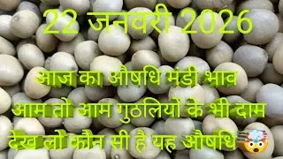 तुलसी चिरायता सफेद मूसली सतावरी नागरमोथा सागरगोटा अरंडी औषधि मंडी नीमच भाव #mandibhav #mandi #मंडी #