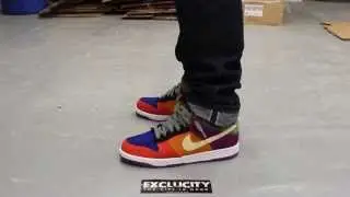 Nike Dunk Premium Low 