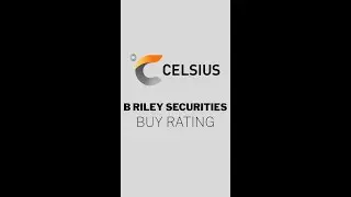 B Riley's $49 Bull 🦬