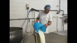 Mauro Vagadore, L' artigiano del Gorgonzola dolce D.o.p. @ilmangiaweb come si fà III fase