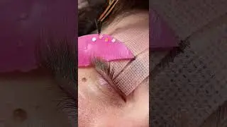Next-Level Korean Lash Lift Shields Are HERE!