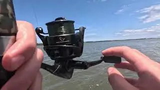 Catfish Catch and Release