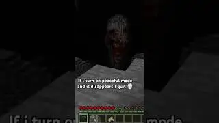if I turn on peaceful mode and it disappears I quit 💀