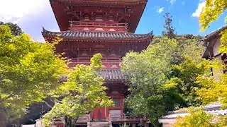 4K【神戸市西区/太山寺(たいさんじ)/2022】6/7(火)☆国宝建造物(本堂)