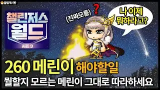 260찍은 메린이 여러분 뭘해야할지 모르겠다구요?이 영상 그대로 따라하세요[챌섭메린이가이드1탄][메이플스토리]