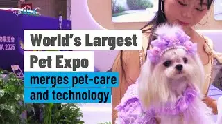 World&rsquo;s largest pet expo in China connects technology and pet care