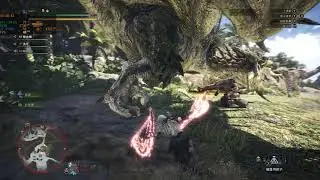 RTX 2080 Ti + i7 8700K 4K Monster Hunter World high setting